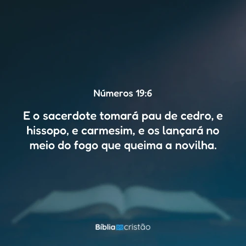 Números 19:6