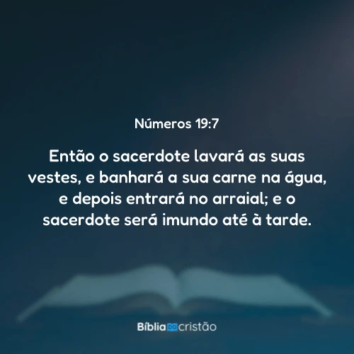 Números 19:7