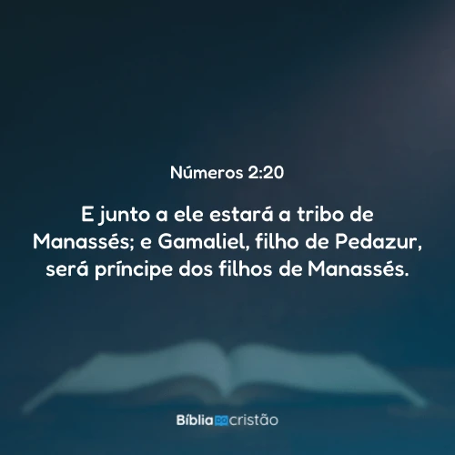 Números 2:20