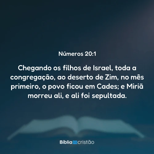 Números 20:1