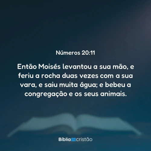 Números 20:11