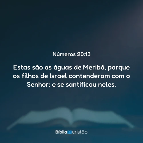 Números 20:13