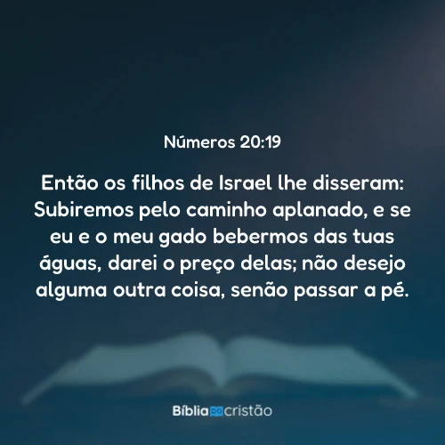 Números 20:19