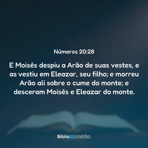 Números 20:28