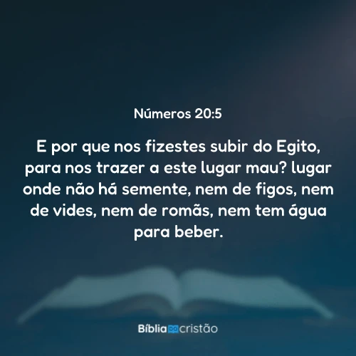 Números 20:5