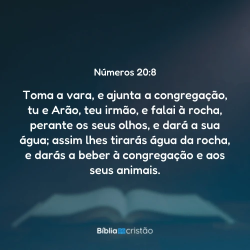 Números 20:8