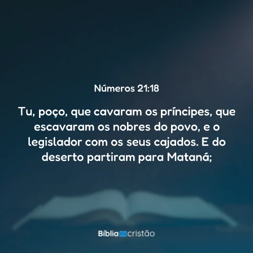 Números 21:18