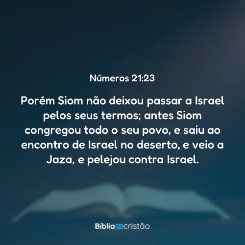 Números 21:23