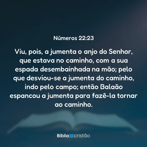 Números 22:23