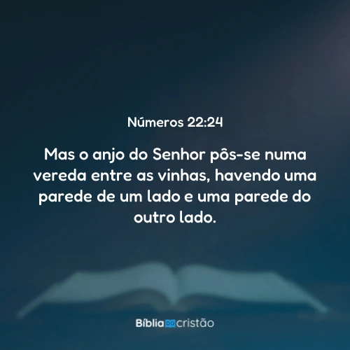 Números 22:24