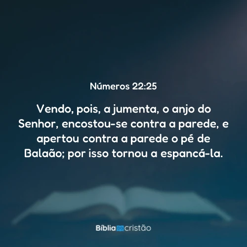Números 22:25