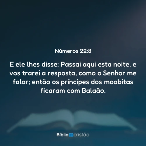 Números 22:8