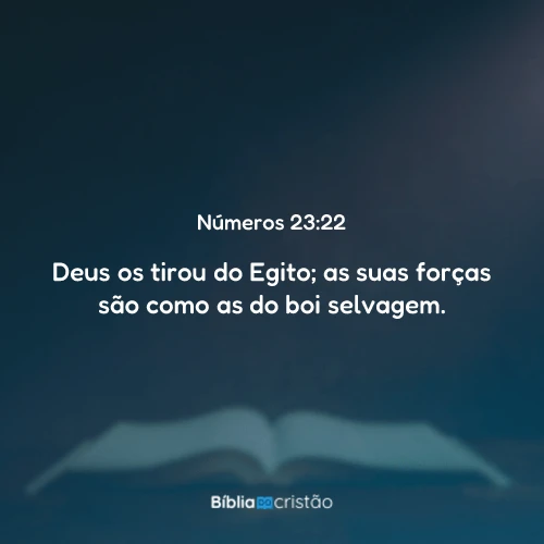 Números 23:22