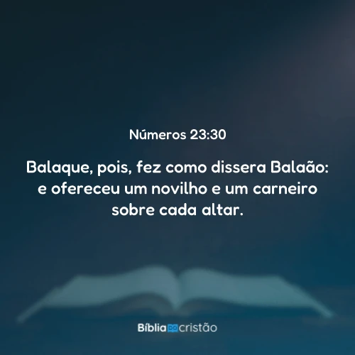 Números 23:30
