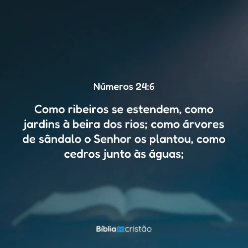 Números 24:6