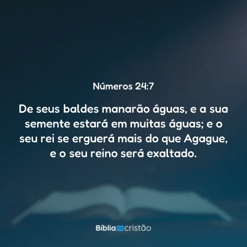 Números 24:7