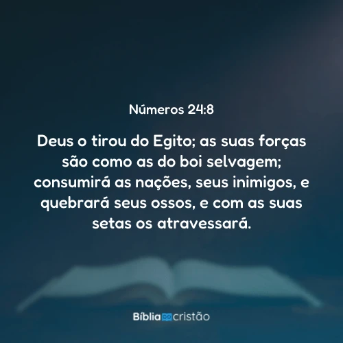 Números 24:8
