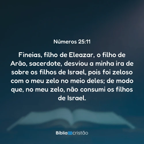 Números 25:11