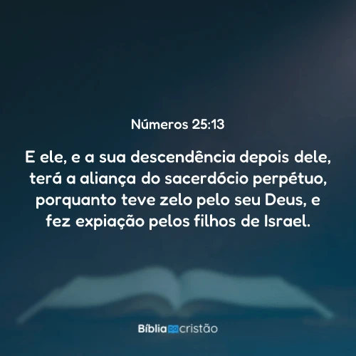 Números 25:13