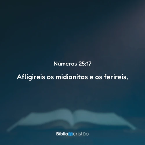 Números 25:17