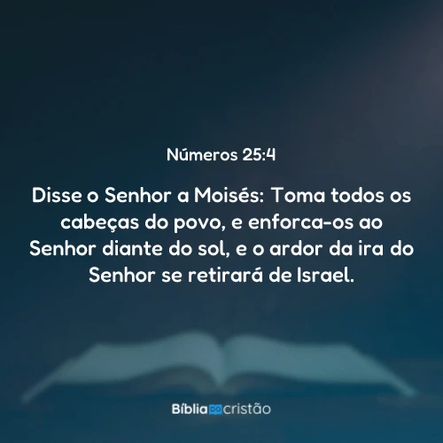Números 25:4