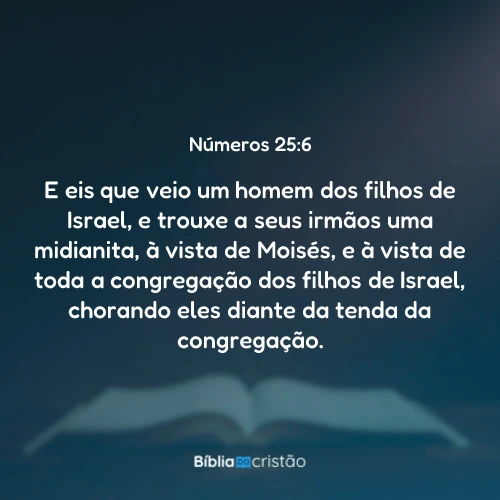 Números 25:6