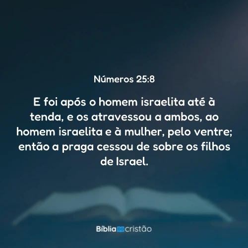 Números 25:8