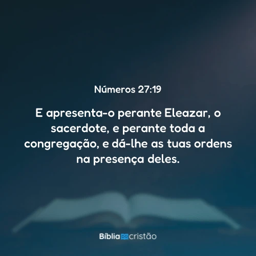 Números 27:19