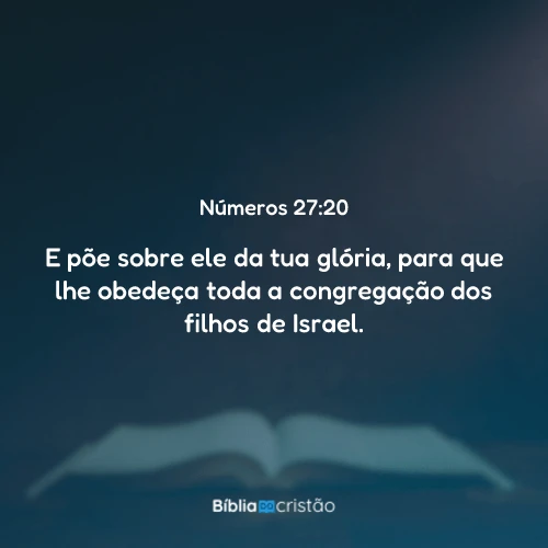 Números 27:20