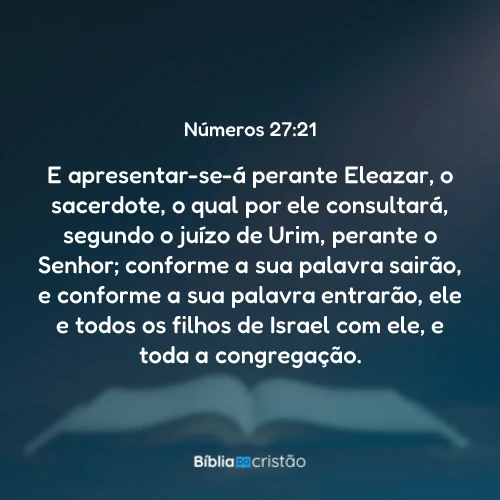 Números 27:21