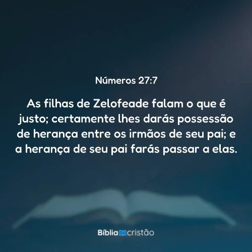 Números 27:7