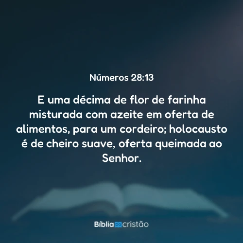 Números 28:13
