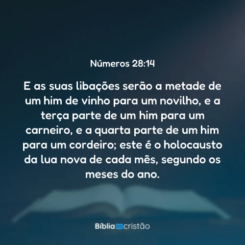Números 28:14