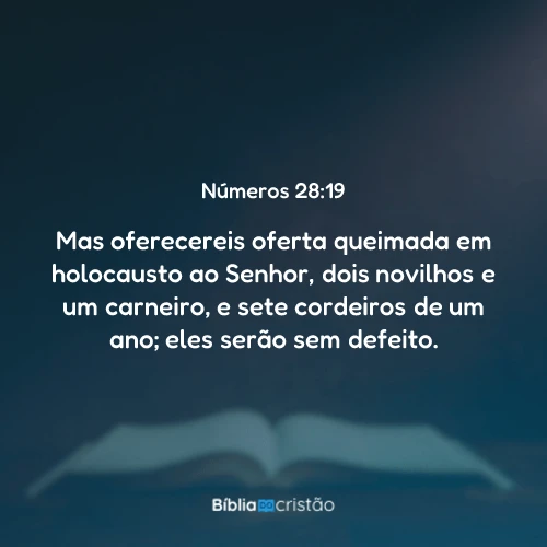 Números 28:19