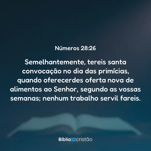 Números 28:26