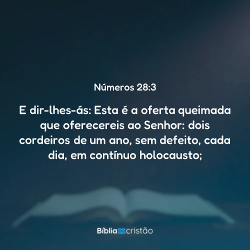 Números 28:3
