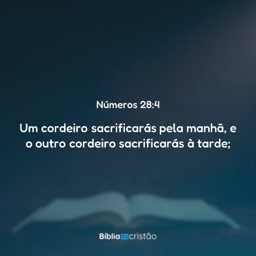 Números 28:4