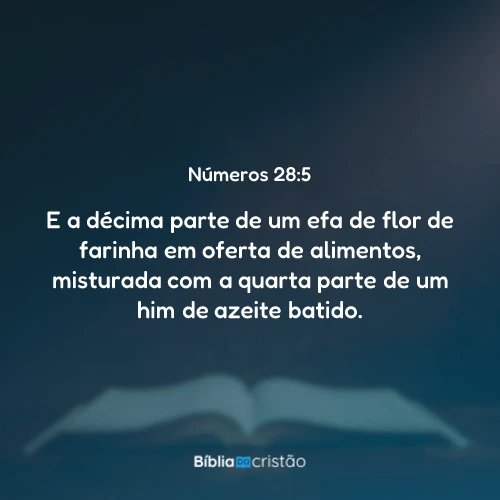 Números 28:5