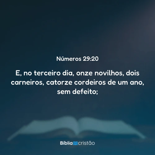 Números 29:20