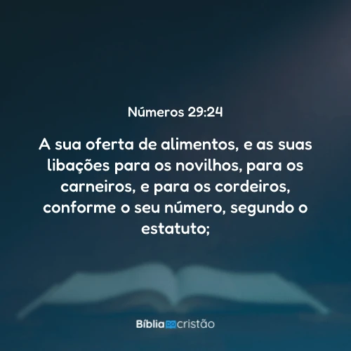 Números 29:24