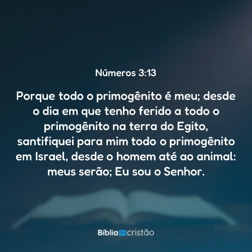 Números 3:13