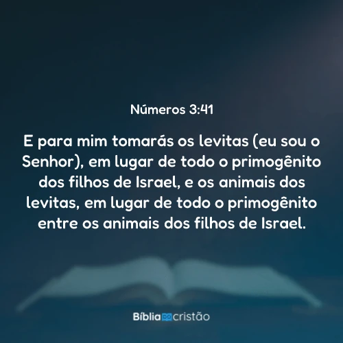 Números 3:41