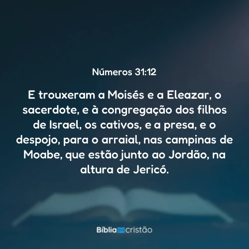 Números 31:12