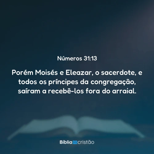 Números 31:13