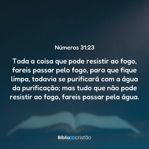 Números 31:23