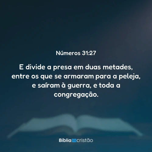 Números 31:27