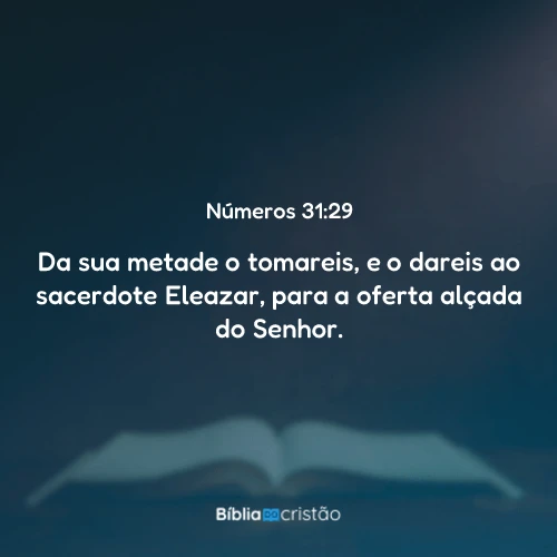 Números 31:29