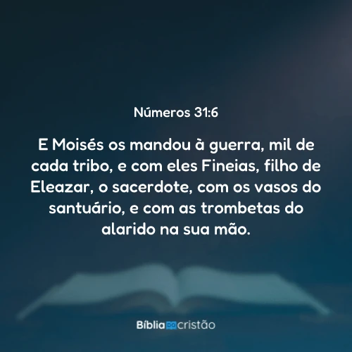 Números 31:6