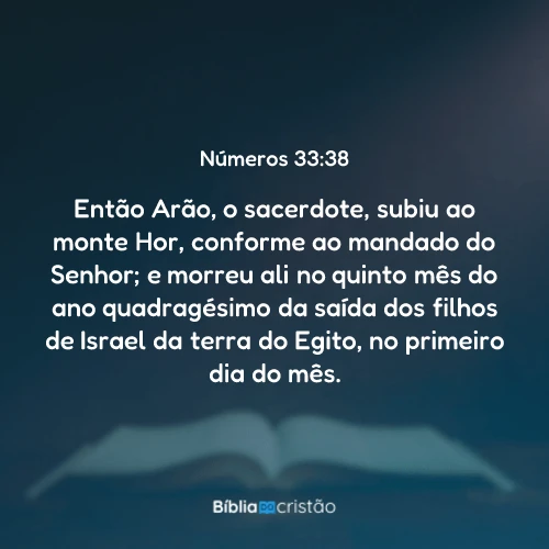 Números 33:38