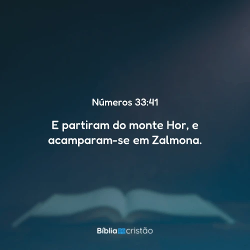 Números 33:41